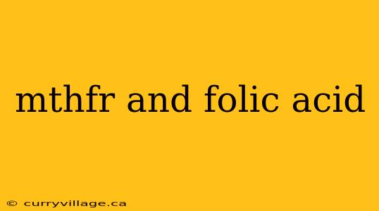 mthfr and folic acid