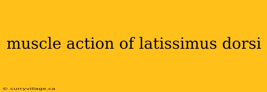 muscle action of latissimus dorsi