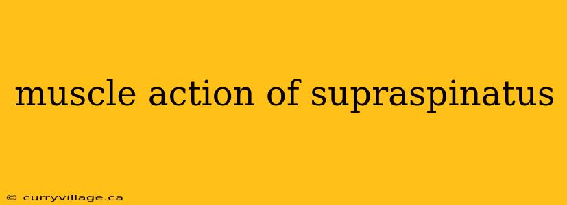 muscle action of supraspinatus