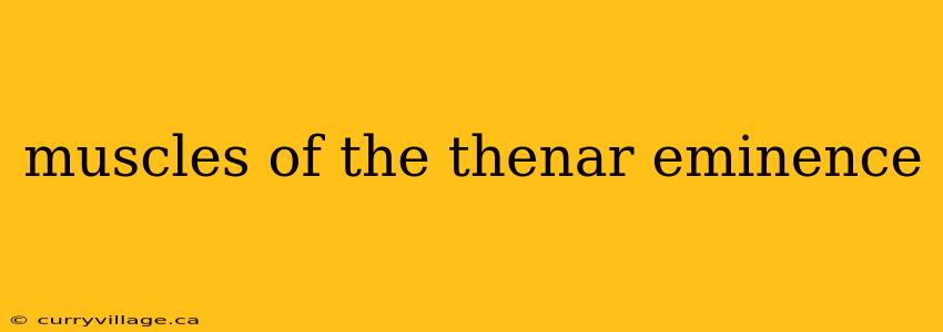 muscles of the thenar eminence