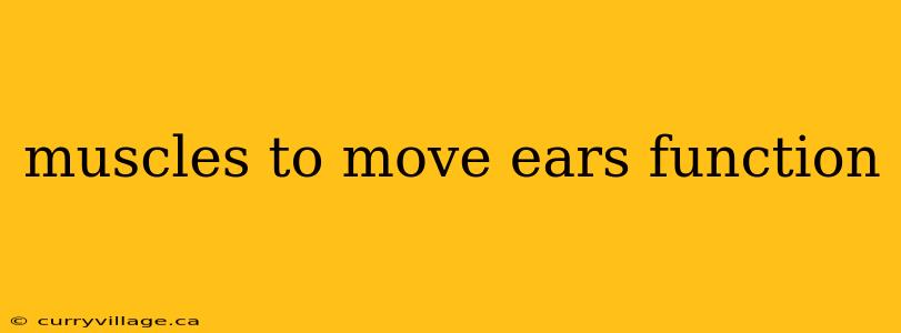 muscles to move ears function
