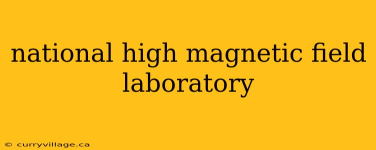 national high magnetic field laboratory