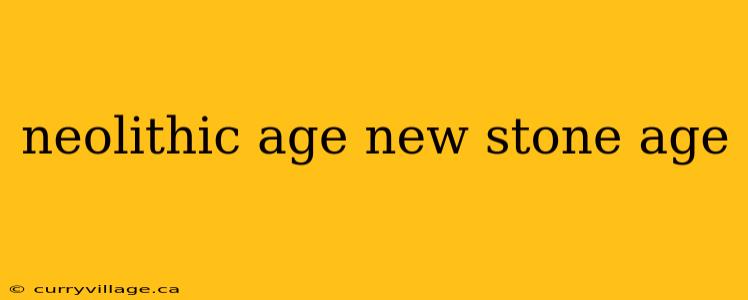 neolithic age new stone age