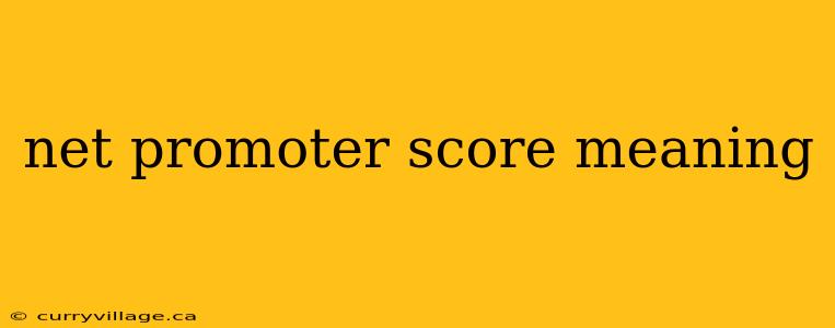 net promoter score meaning