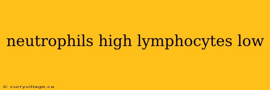 neutrophils high lymphocytes low