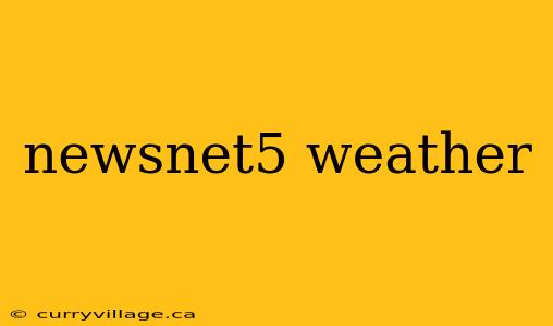 newsnet5 weather