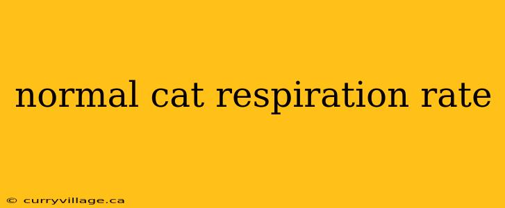 normal cat respiration rate