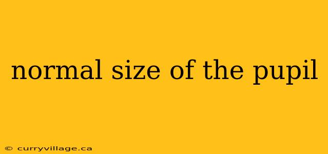 normal size of the pupil