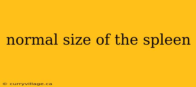 normal size of the spleen