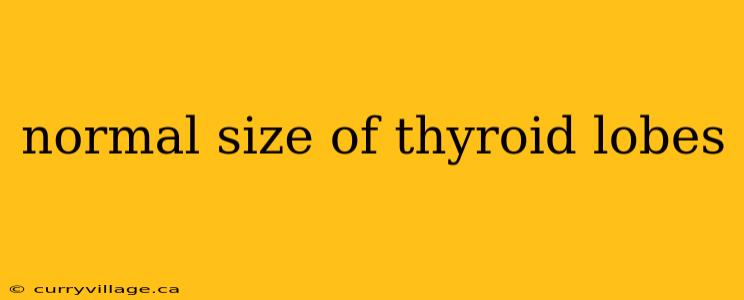 normal size of thyroid lobes