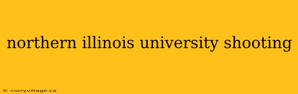 northern illinois university shooting