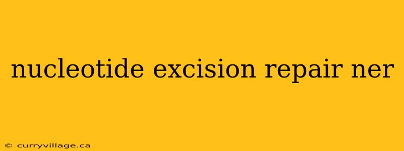 nucleotide excision repair ner