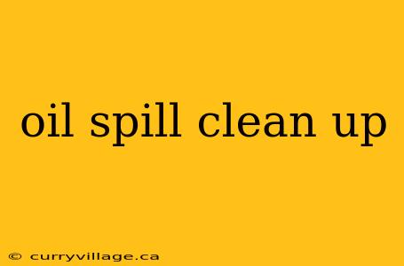 oil spill clean up