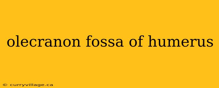 olecranon fossa of humerus