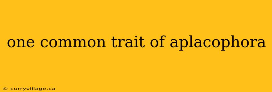 one common trait of aplacophora