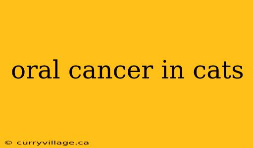 oral cancer in cats