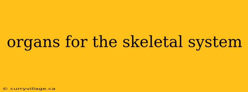 organs for the skeletal system