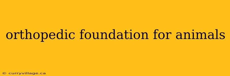 orthopedic foundation for animals
