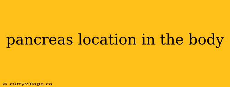 pancreas location in the body