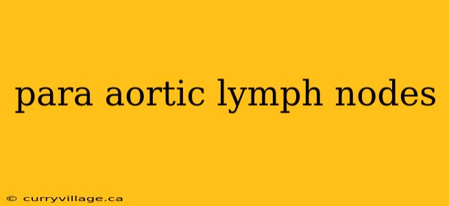 para aortic lymph nodes