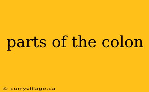 parts of the colon