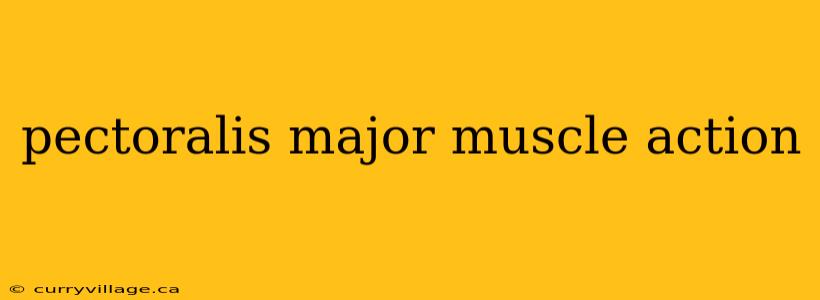 pectoralis major muscle action