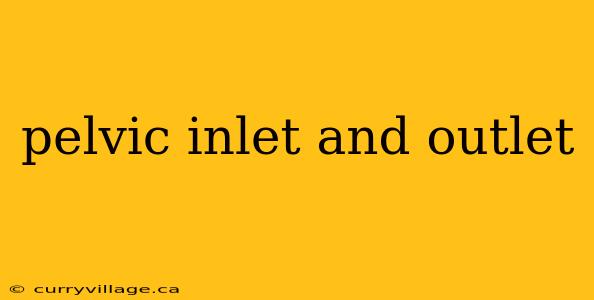 pelvic inlet and outlet