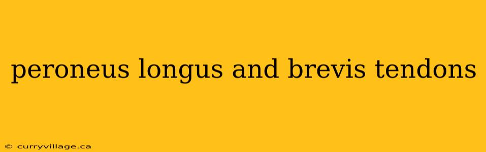 peroneus longus and brevis tendons