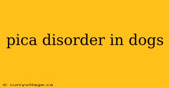 pica disorder in dogs