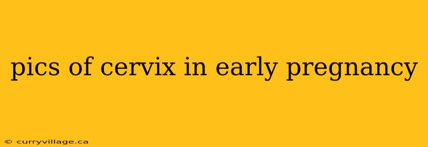pics of cervix in early pregnancy