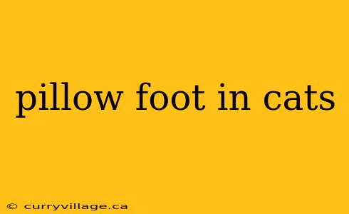 pillow foot in cats