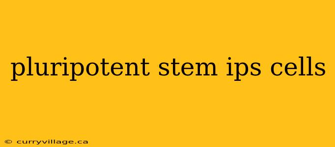 pluripotent stem ips cells
