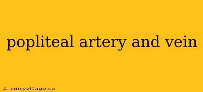 popliteal artery and vein