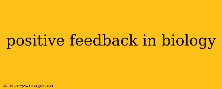 positive feedback in biology