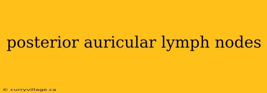 posterior auricular lymph nodes