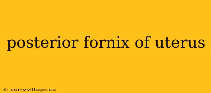 posterior fornix of uterus