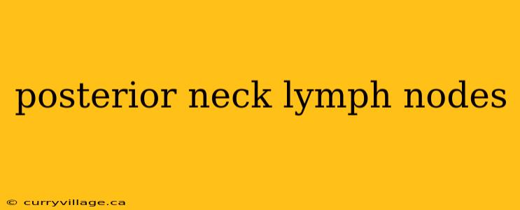 posterior neck lymph nodes