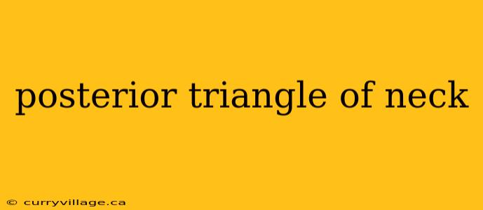 posterior triangle of neck