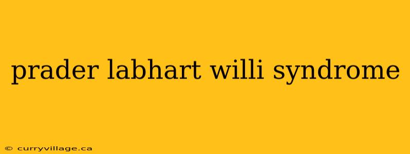 prader labhart willi syndrome