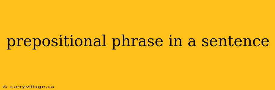 prepositional phrase in a sentence