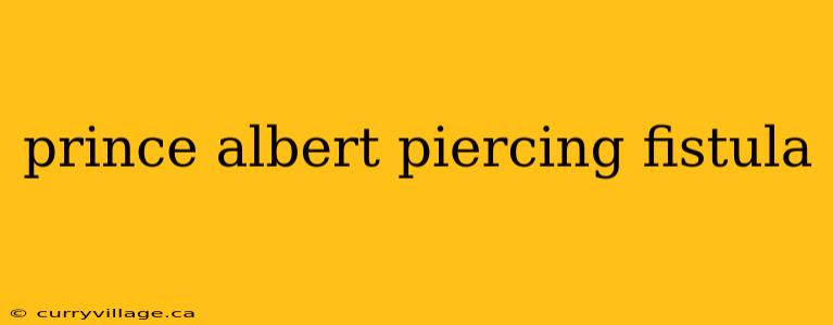 prince albert piercing fistula