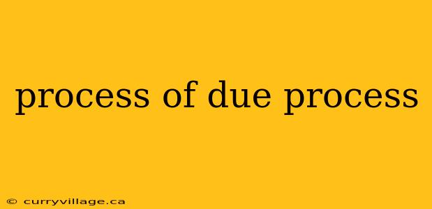 process of due process