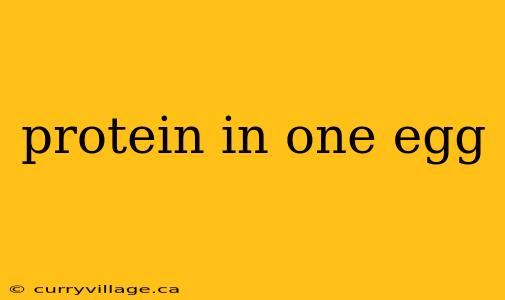 protein in one egg