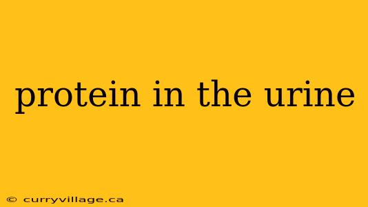protein in the urine