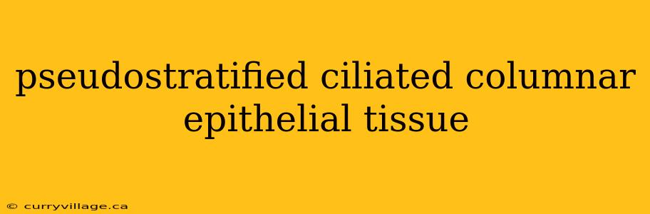 pseudostratified ciliated columnar epithelial tissue