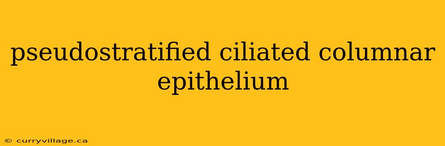 pseudostratified ciliated columnar epithelium