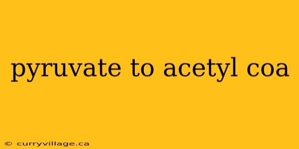 pyruvate to acetyl coa
