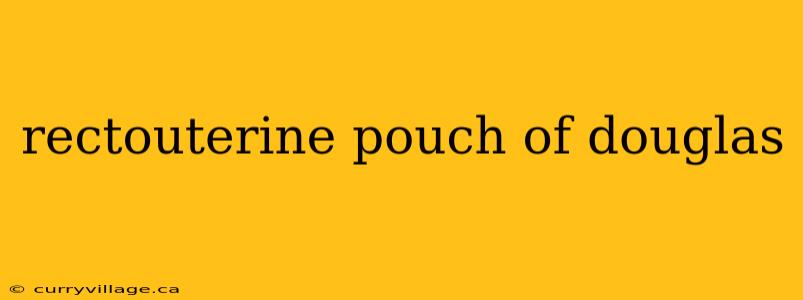 rectouterine pouch of douglas
