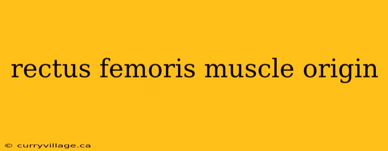 rectus femoris muscle origin