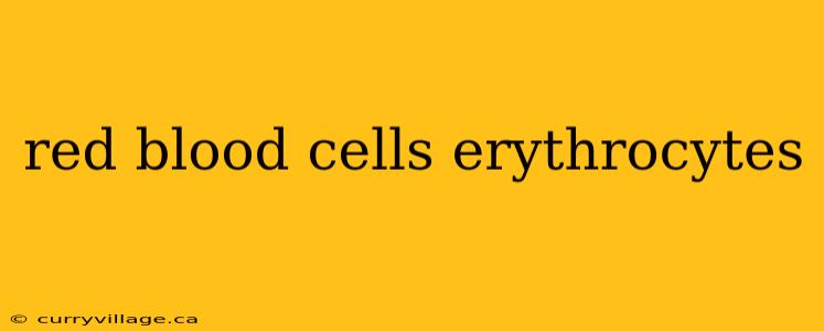 red blood cells erythrocytes